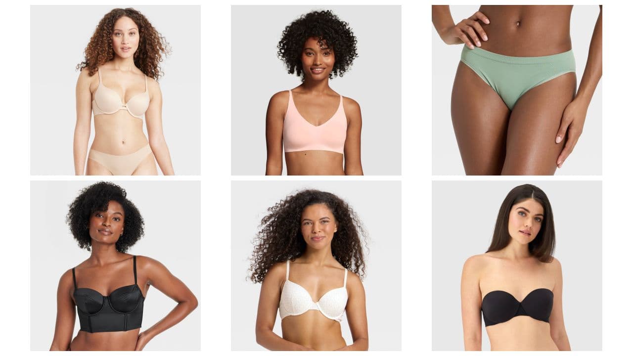 Target Lingerie Lot | Wild Fable, Auden, & Maidenform #6364 (85 units) — product photo 1 of 3